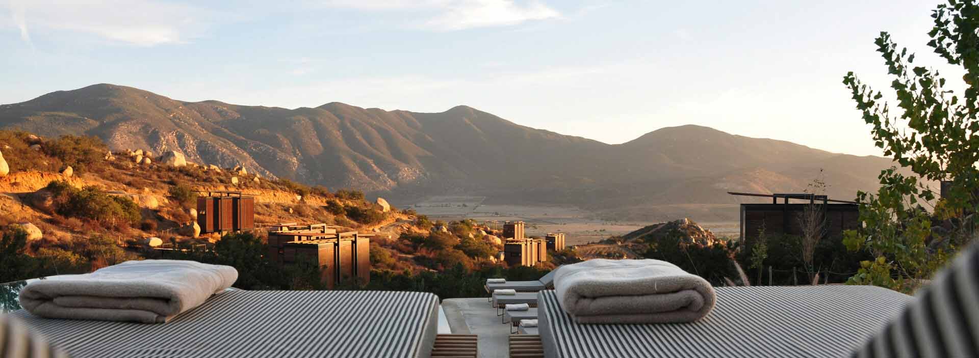 Servicio de catering profesional